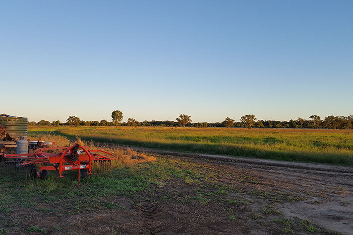 Michael Palmes - Banana, Queensland, Australia - 3